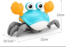 Electric crab baby toy, blue body with orange claws and gray legs; shown with size marks