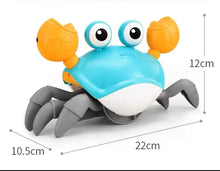 Electric crab baby toy, blue body with orange claws and gray legs; side view with measurements