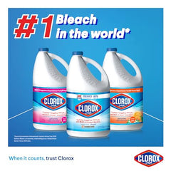 Clorox Liquid Bleach 470ml, Kills 99.9% of Viruses and Bacteria, 48 Hours Prevents Bacteria Growth, Removes Stains