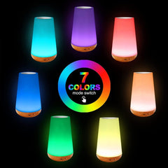 Touch Lamp, Night Light Bedroom Bedside Lamp Dimmable Color Night Lamp with Touch Control Adjustable Brightness Remote Control for Bedroom, Kid's Room and Living Room, USB rechargeable