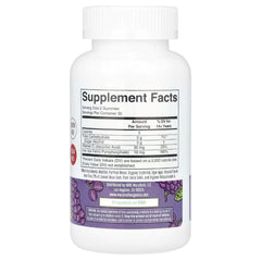 MaryRuth's Iron Gummies with Vitamin C, Grape Flavor, Sugar-Free, 60 Vegan Gummies
