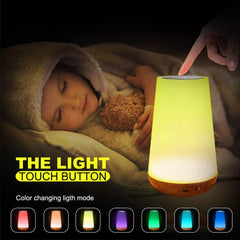 Touch Lamp, Night Light Bedroom Bedside Lamp Dimmable Color Night Lamp with Touch Control Adjustable Brightness Remote Control for Bedroom, Kid's Room and Living Room, USB rechargeable