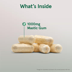 Jarrow Formulas Mastic Gum 1000mg beige capsules stacked close up showing powder filled supplement capsules