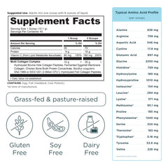 Ancient Nutrition Multi Collagen Protein Powder, 10 Types of Food Sourced Collagen, Providing Types I, II, III, V, and X, 16 Ounce 454.5 g