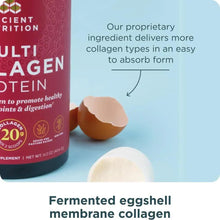 Multi Collagen Protein powder tub beside eggshell membrane collagen illustration.