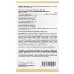 California Gold Nutrition LactoBif® بروبيوتيك للحيوانات الأليفة – 5 مليار وحدة تشكيل مستعمرة – 60 كبسولة نباتية – دعم الجهاز الهضمي والمناعة للحيوانات الأليفة