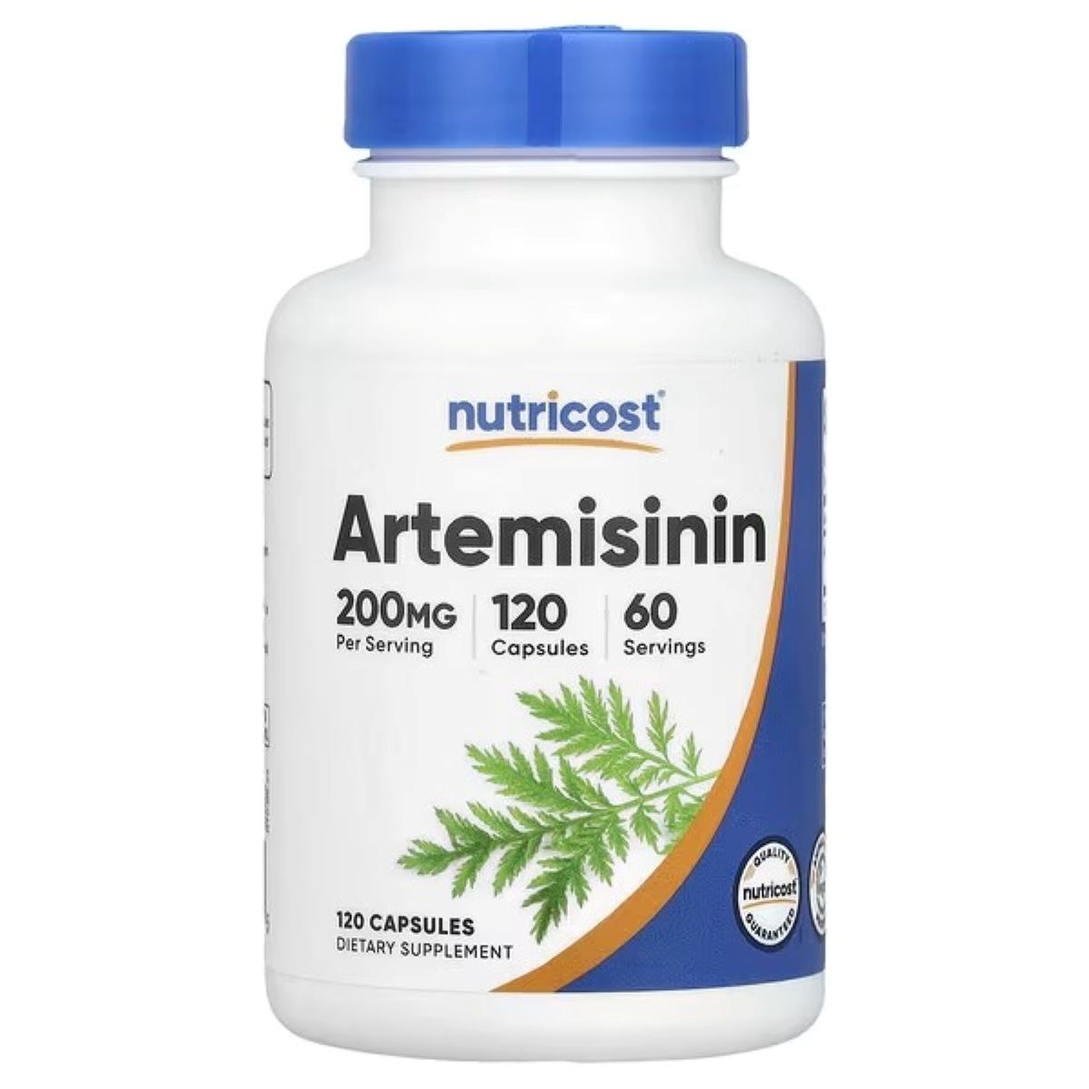 Nutricost Artemisinin 100mg Capsules – 120 Capsules | Premium Herbal Supplement for Daily Wellness Support