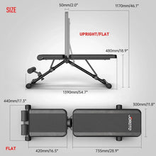 Adjustable weight bench in upright and flat setup, black padded backrest and seat