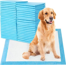 Disposable pet pee pads set, blue borders with white absorbent center.