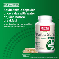 Jarrow Formulas Mastic Gum 1000mg bottle and capsules on green background with suggested use text