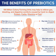 Wholesome Wellness 100 Billion Cfu- Dr. Approved Probiotics for Unisex,30 Capsules