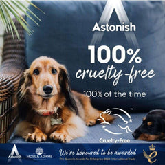 Astonish Oven & Grill Specialist Cleaner & Sponge, 250g
