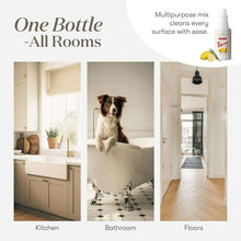 Household cleaner use-in-rooms layout showing kitchen, bathroom, and floors with pet