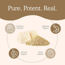 Lion's Mane mushroom powder with benefits icons on product graphic