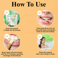 Sewak Al-Falah Al Falah Miswak Traditional Natural Manual Toothbrush (10 Pieces)