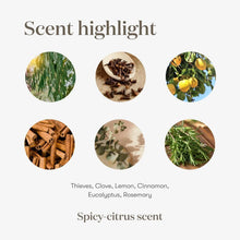 Scent highlight graphic with round icons and spice-citrus ingredient list