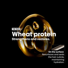 شامبو لوريال بروفيشنال سيري إكسبرت للإصلاح المطلق أوميجا 9 والبروتين، 500 مل