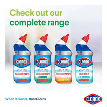 Toilet bowl cleaner bottles display with red nozzles and blue-and-white fronts