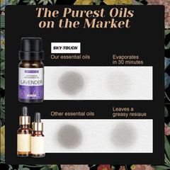 Essential Oils Set,Premium Pure and Natural Oil,for Oil Diffusers,6 pcs x 10 mL - Sandalwood，Sweet Orange，Lavender，Eucalyptus，Lemon，Mint