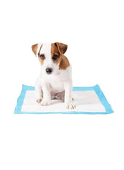 Duvo+ Pet Pad (P-PAD) - Dog Training Medium - 30pcs - 30x45cm