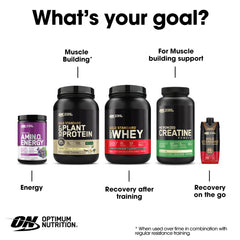 Optimum Nutrition (ON) Amino Energy - Pre Workout With Green Tea, Bcaa, Amino Acids, Keto Friendly, Green Coffee Extract, 0 Grams of Sugar, Anytime Energy Powder - Fruit Fusion, 270 G, 30 Servings