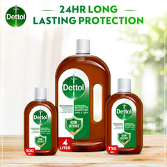 Dettol Antiseptic Antibacterial Disinfectant Liquid for Effective Germ Protection & Personal Hygiene, Used in Floor Cleaning, Bathing and Laundry, 750ml (Packaging may vary)
