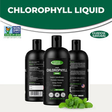 Chlorophyll liquid bottles set with branding and supplement facts
