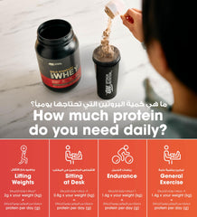 Optimum Nutrition Gold Standard 100% Whey Protein Powder, Vanilla Ice Cream, 1 Pound (Packaging May Vary)