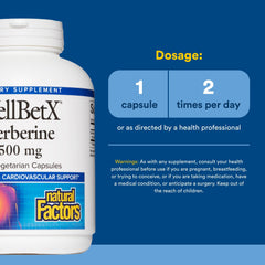 Natural Factors WellBetX Berberine - Daily Supplement Supports Metabolic Health - Formula Supports Healthy Heart - Gluten-Free & Vegan - 120 Vegetarian Capsules (120 Servings)
