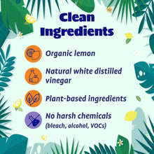 Vinegar cleaner ingredients card listing organic lemon, distilled vinegar, and plant-based