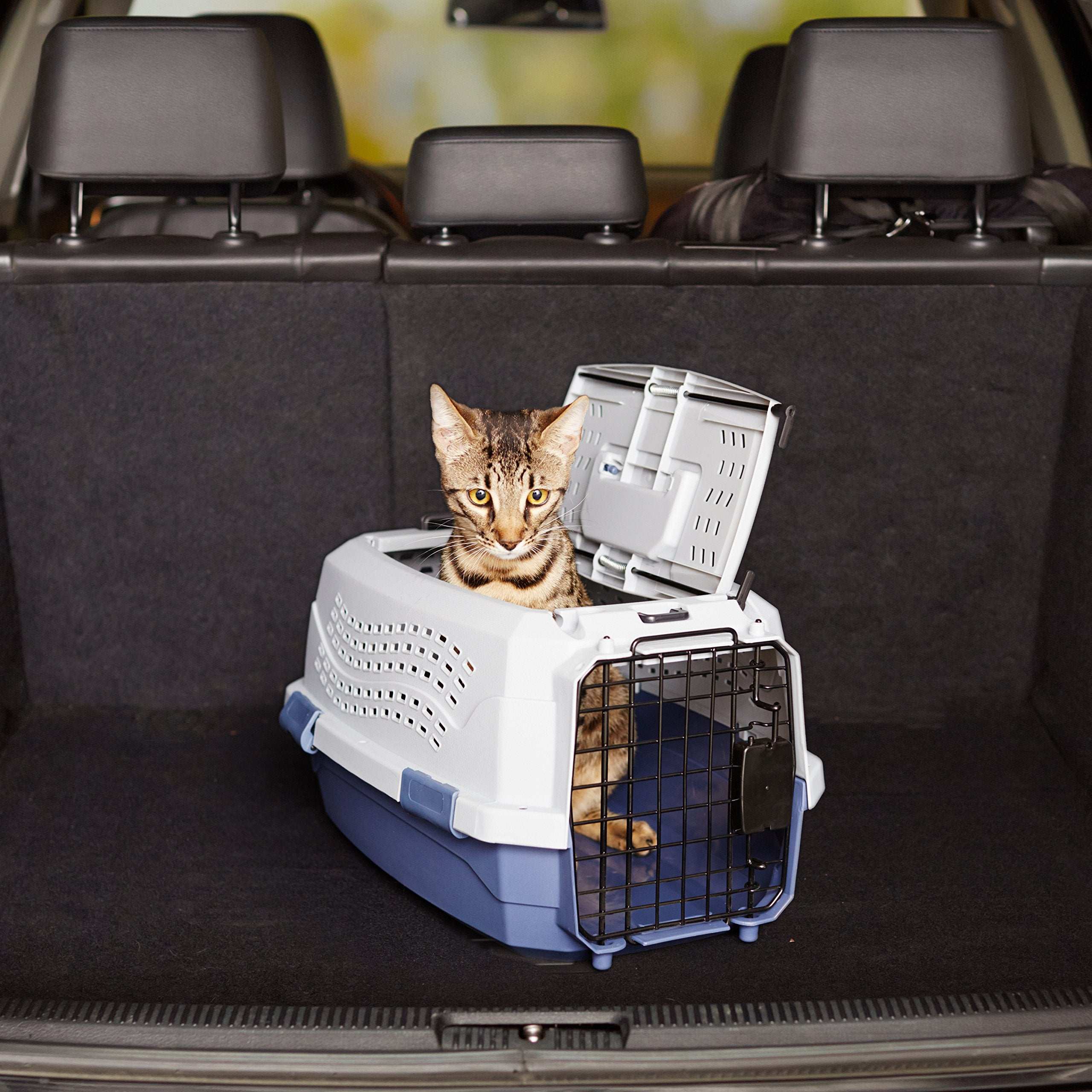 Two-Door Top-Load Hard-Sided Pet Travel Carrier, 19-Inch