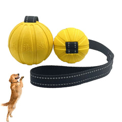 Dog Toy Balls On a Rope for Small Medium Large Dogs Chewers, Durable Interactive Ball for Training Dogs, EVA Foam Ball Floats