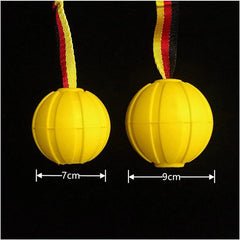 Dog Toy Balls On a Rope for Small Medium Large Dogs Chewers, Durable Interactive Ball for Training Dogs, EVA Foam Ball Floats