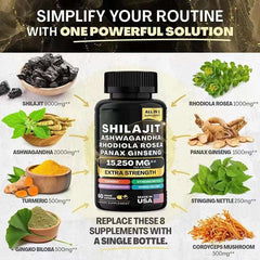 2 Bottles 15250MG Pure Himalayan SHILAJIT Capsules+ Sea Moss Capsules Immunity Support