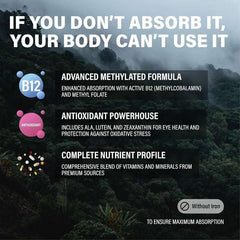 Male and female wild methylated multivitamins | Folic acid, vitamin C A、K2、D、E、 Choline, biotin, coenzyme Q10, etc