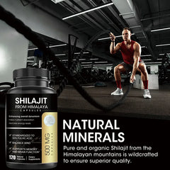 iMATCHME Organic Shilajit Capsules with Ginseng & 50% Fulvic Acid & Trace Minerals Supplement Support Brain and Focus, Energy