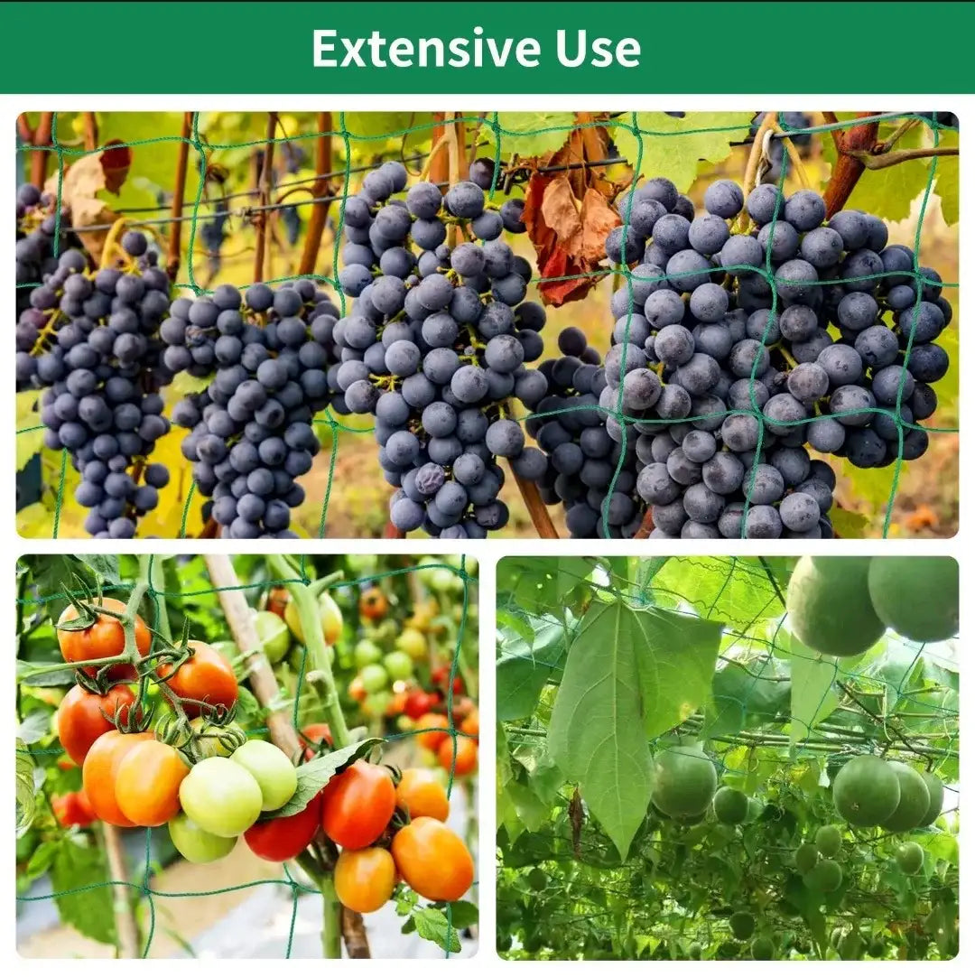 Plant Trellis Pergolas, Heavy-Duty Polyester Grow Net, Garden Trellis Netting With Square Mesh For Climbing Plants, Vegetables,