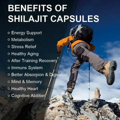 iMATCHME Organic Shilajit Capsules with Ginseng & 50% Fulvic Acid & Trace Minerals Supplement Support Brain and Focus, Energy - Mumzar