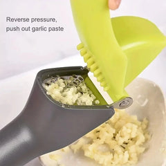 1 garlic press, a tool for crushing and squeezing garlic, a small household outdoor kitchen tool