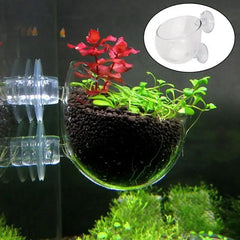 Acrylic Aquatic Plant Cup Aquarium Fish Tank Glass Plant Pot with suction holder Feeding Container Stand for Aquarium Lanscape