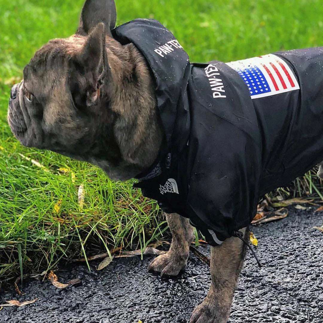 Pet Dog Waterproof Coat The Dog Face Pet Clothes Outdoor Jacket Dog Raincoat Reflective Clothes for Small Medium Large Dogs