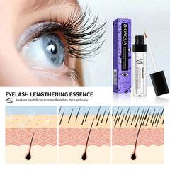 Eyelash Growth essence contains natural formula to nourish, strengthen and repair the thickness of eyelash root 7ml