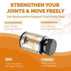 Glucosamine Chondroitin MSM - Promotes Skin, Nail and Joint Health, Antioxidant , Bone Density Health- Shellfish Free Supplement
