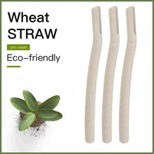 Wheat-straw eyebrow razors, three pale handles with blade strips