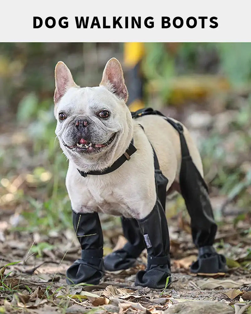 1set Pet Rain Shoes Dog Rain Boots Waterproof Dog Boots Small Puppy Medium Large Dogs Pet Booties Anti-Slip Dog Shoes Rain Snow - Mumzar