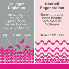 Collagen Supplement Rich in Vitamin C and Biotin - Supports nails and hair, smooth skin, joint and bone health