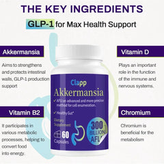 Akkermansia Probiotics Bacillus subtilis Containing Vitamin B2, D3, and Chromium - Weight and Gut Management