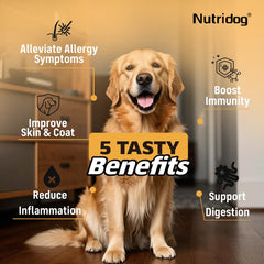Dog Allergy&Itch Relief Supplements With Omega-3,Vitamin C&Probiotics，Support Skin&Immune Health, Supplement Nutrition,90 chews
