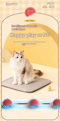 Cat Interactive Ball Toys Automatic Rolling Ball Faux Tail Rechargeable Smart Pet Electric Toy Dog Cat Training Imitate Mouse