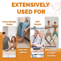Glucosamine Chondroitin MSM - Promotes Skin, Nail and Joint Health, Antioxidant , Bone Density Health- Shellfish Free Supplement